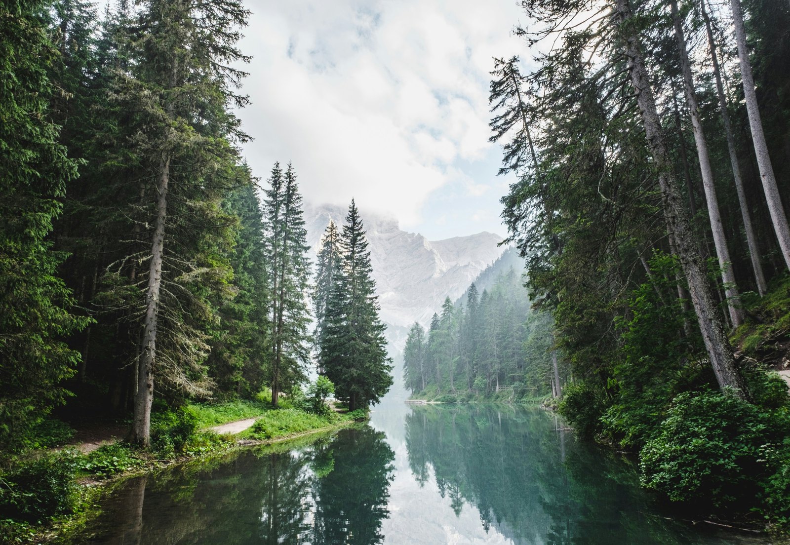 Still lake between tall conifers, with a mountain in mist beyond.