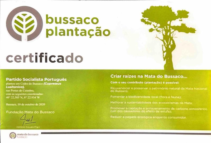 Green Bussaco Plantação certificate from the Fundação Mata do Bussaco, with a tree silhouette.